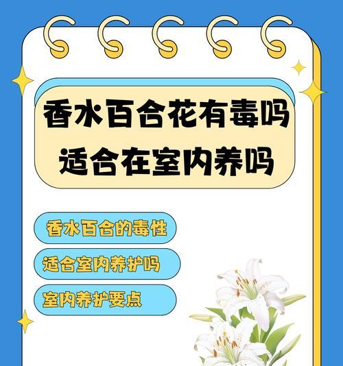 如何科学养护刚买的百合花（初次养花者必看，从养花须知到养护技巧）-第3张图片-绿意生活