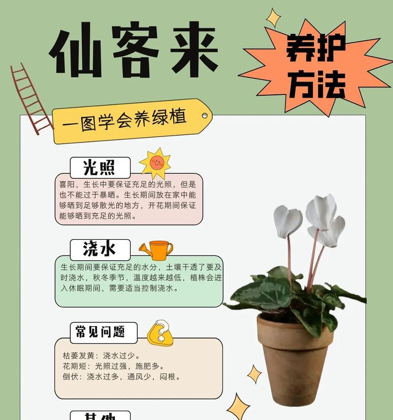 仙鹤叶子变黄，如何处理？（仙鹤叶子黄化的原因分析与解决方法）-第2张图片-绿意生活