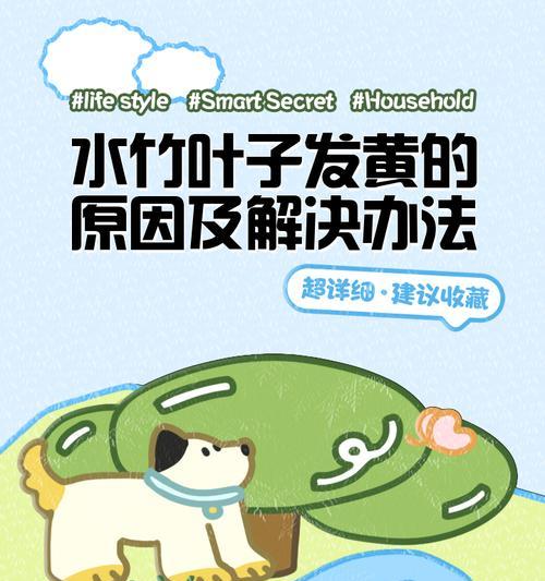 利用水竹叶子清理家居环境的妙招（环保、简单、高效——用水竹叶子打造清洁新方式）-第3张图片-绿意生活