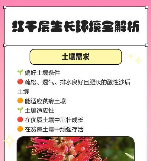 千层树养护全攻略（打造美丽庭院的必备指南）-第3张图片-绿意生活