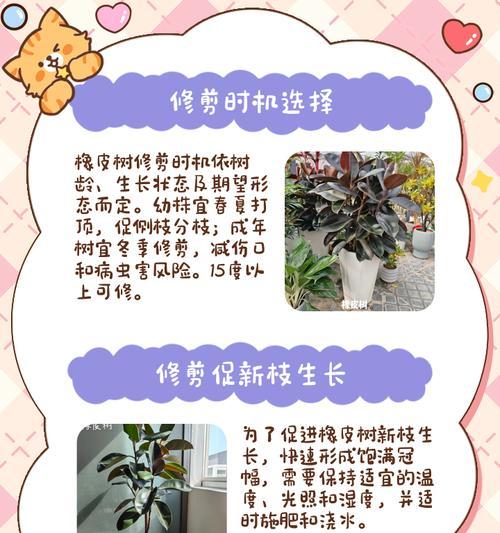 如何培养橡皮树侧枝长粗（提高橡皮树侧枝粗壮度的实用技巧）-第3张图片-绿意生活