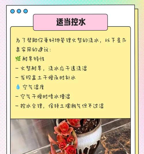 探索火祭的生长秘密（揭开火祭往上生长的奥秘，让你成为炙手可热的植物专家！）-第2张图片-绿意生活