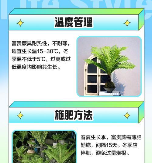 如何正确养护蕨类花卉（掌握关键要点，让你的蕨类花卉健康茁壮）-第2张图片-绿意生活