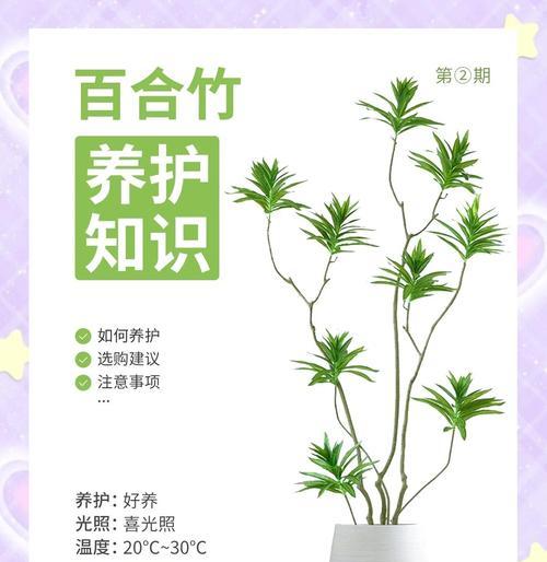 竹子养护指南（掌握关键技巧，让竹子无所遁形）-第3张图片-绿意生活