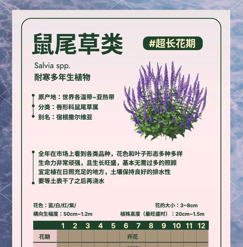 以鼠尾掌的繁殖之道（掌握关键步骤，成功繁殖鼠尾掌）-第1张图片-绿意生活