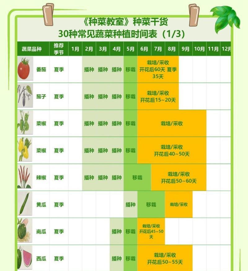 以种的蔬菜种植技巧（如何成功地种植以种的蔬菜）-第1张图片-绿意生活