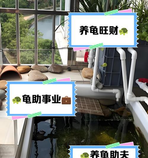 双面桂养护指南（从养护到繁殖，轻松打造美丽的双面桂花园）-第2张图片-绿意生活