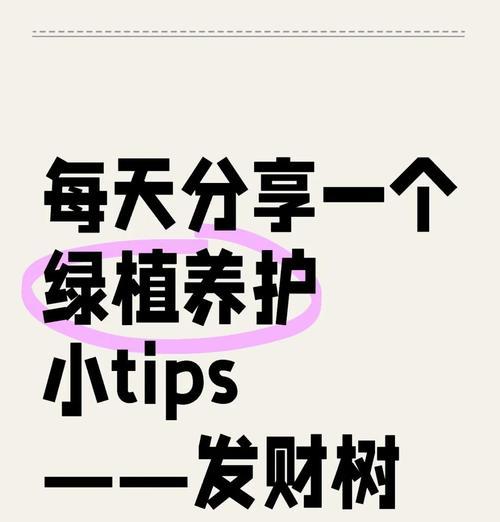 南方发财树的冬季养护秘籍（让您的南方发财树在寒冷冬季中茁壮成长）-第1张图片-绿意生活