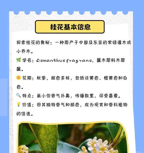 金桂花期观察与了解（探索金桂花开放的时节及其特点）-第3张图片-绿意生活