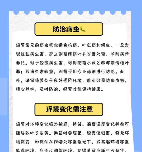 绿萝黄叶补救方法大揭秘（挽救黄叶绿萝的秘籍，教你轻松恢复健康）-第2张图片-绿意生活