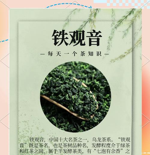 铁观音的生长环境条件及特点-第2张图片-绿意生活