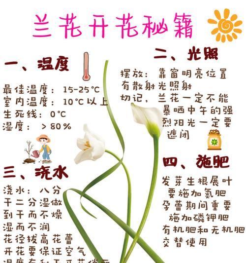 如何处理兰花谢后的护理问题（兰花谢后的关键护理方法和注意事项）-第3张图片-绿意生活