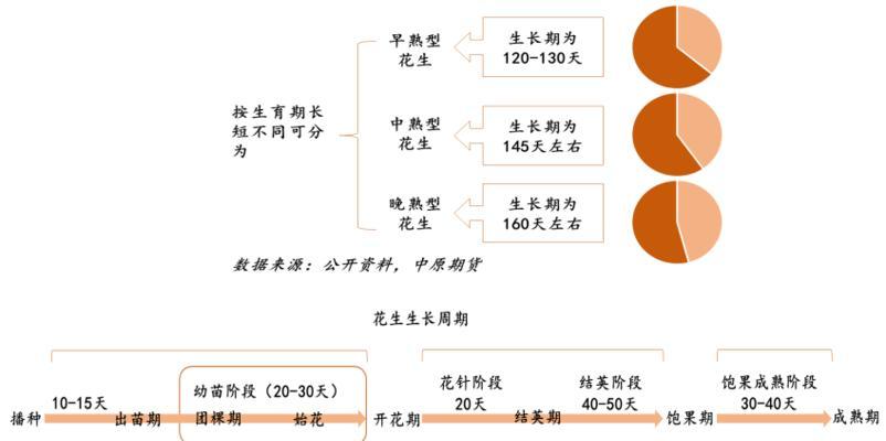 花生成熟期究竟需要多少天？（从不同角度解析花生成熟期）-第2张图片-绿意生活