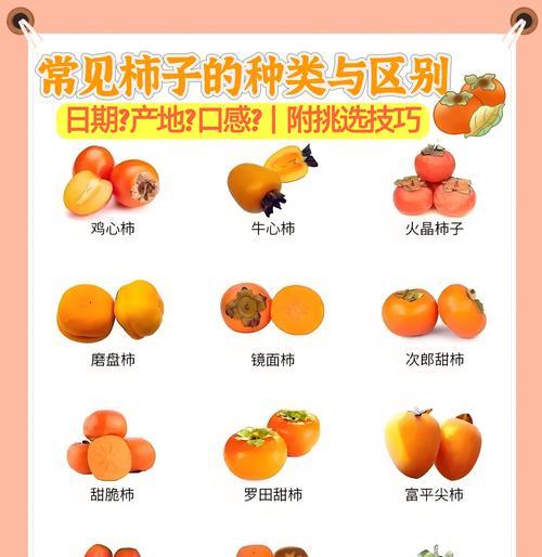 深入了解柿子成熟的时间和方法（挑选最佳收获的时间和技巧）-第1张图片-绿意生活