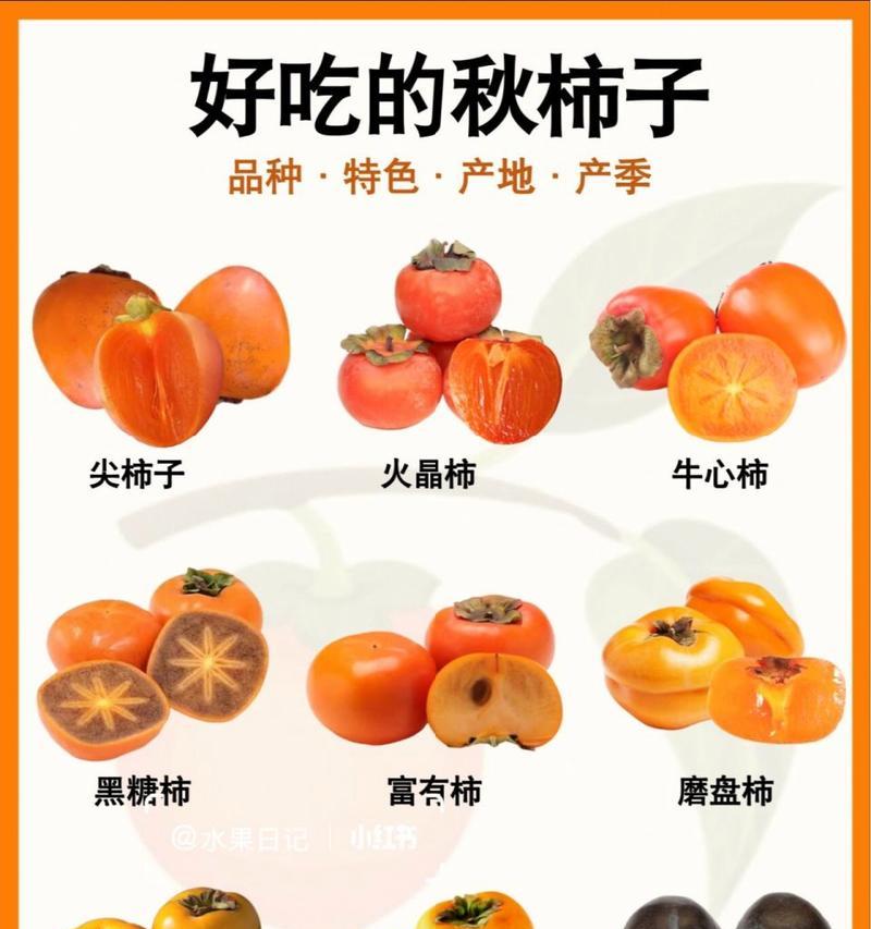 深入了解柿子成熟的时间和方法（挑选最佳收获的时间和技巧）-第3张图片-绿意生活