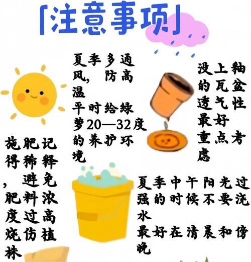 中了绿萝毒怎么办？应对绿萝中毒的方法与救治措施（中毒原因、症状和处理方法，轻度与严重中毒的区别）-第2张图片-绿意生活