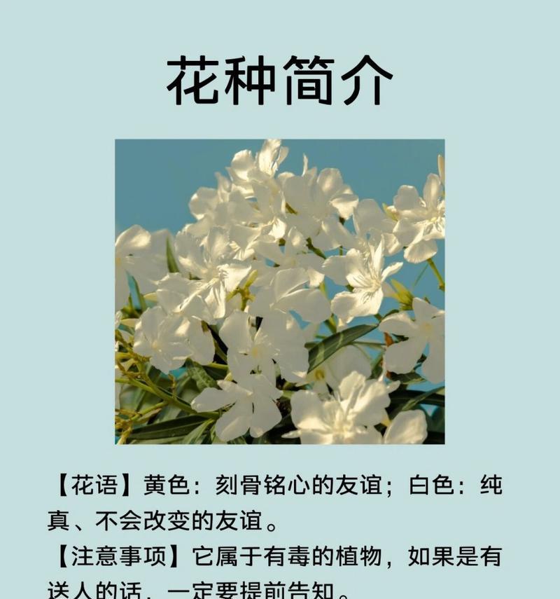 夹竹桃的最佳扦插月份（选择正确的季节和方法，让夹竹桃繁衍更易成功）-第1张图片-绿意生活