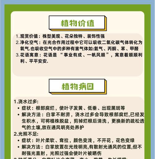 如何培养白掌高大挺拔（掌握关键养殖技巧，让白掌生长壮实）-第1张图片-绿意生活