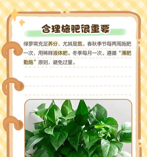 绿萝叶发黄的原因及应对方法（保持绿萝健康的关键是什么？）-第1张图片-绿意生活