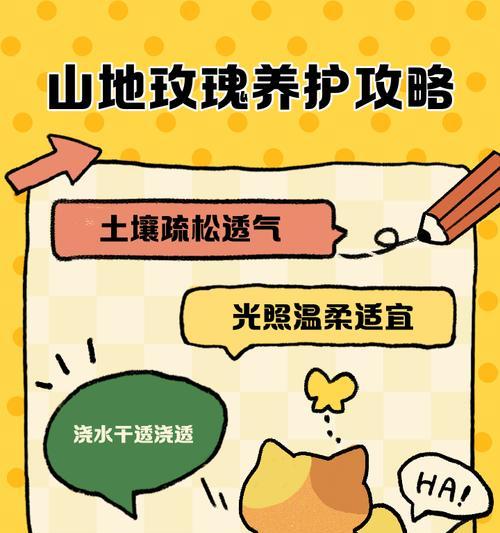 山地玫瑰的侧芽生长技巧（培育山地玫瑰侧芽的关键步骤及注意事项）-第1张图片-绿意生活
