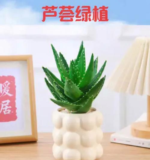发挥芦荟的多种功效，提升生活品质（探索芦荟的神奇力量，让健康与美丽同行）-第3张图片-绿意生活