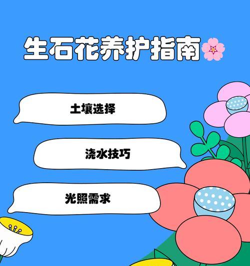 生石花的浇水技巧（了解生石花的生长需求，正确浇水以促进健康生长）-第1张图片-绿意生活