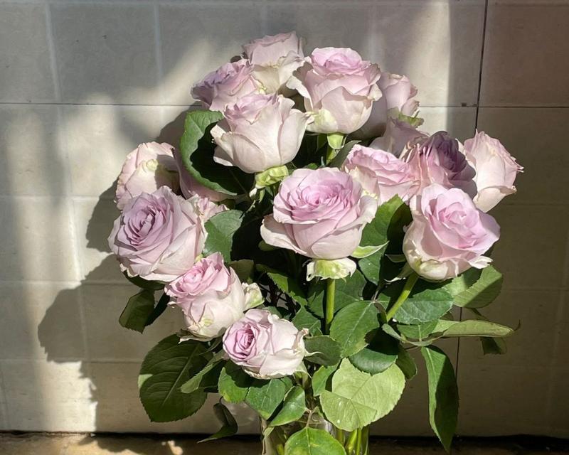 女生宿舍的花卉装饰（打造温馨养眼的花园小屋）-第3张图片-绿意生活