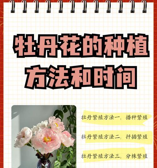 以嫁接的牡丹养护技巧（掌握嫁接技巧，让牡丹绽放更美丽）-第3张图片-绿意生活