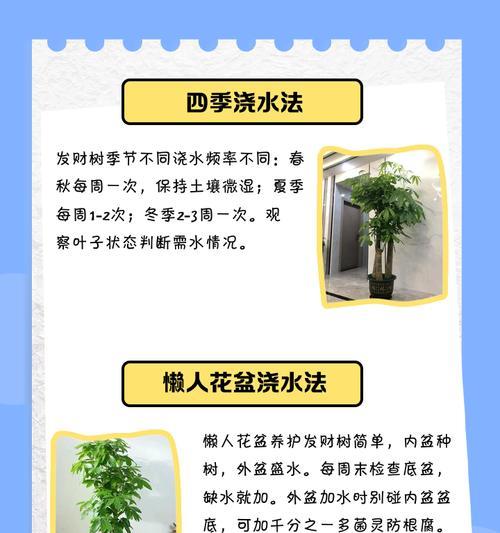 发财树盆如何避免积水问题（解决发财树盆积水问题的有效方法）-第3张图片-绿意生活