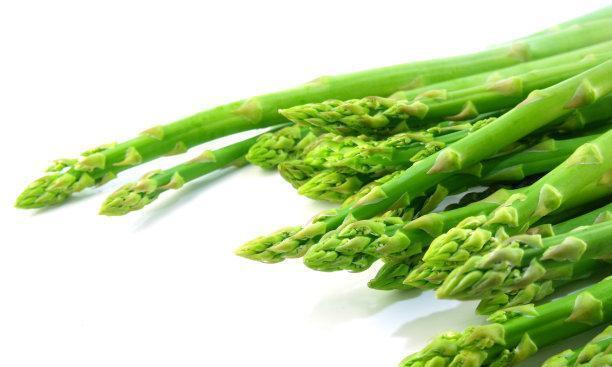 芦笋的生长环境（探究芦笋生长的最佳条件及其适应能力）-第3张图片-绿意生活