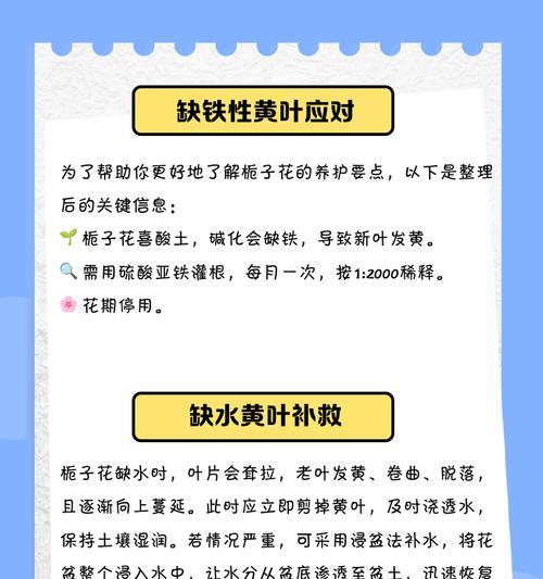 栀子叶子尖干枯的原因及解决方法（栀子叶子尖为什么会干枯？如何有效解决？）-第2张图片-绿意生活