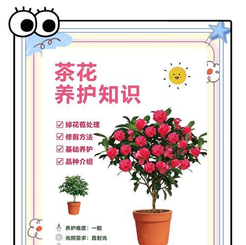 茶花不长花苞的原因分析与解决方法（茶花怎样才能开出美丽的花朵？）-第3张图片-绿意生活
