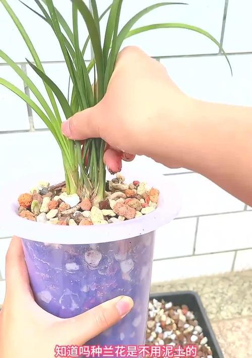 如何制作兰花土-第3张图片-绿意生活