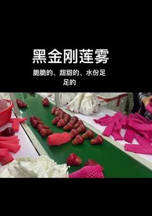 以莲雾汁水清洗的小妙招（清洗无忧，莲雾助手）-第1张图片-绿意生活