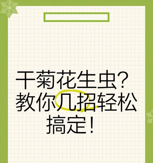 菊花养殖遭遇虫害，教你有效应对！（从根源出发，掌握养殖技巧，让菊花健康成长）-第3张图片-绿意生活