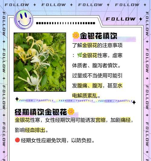 金银花的花语和寓意（探究金银花所代表的含义和象征）-第1张图片-绿意生活