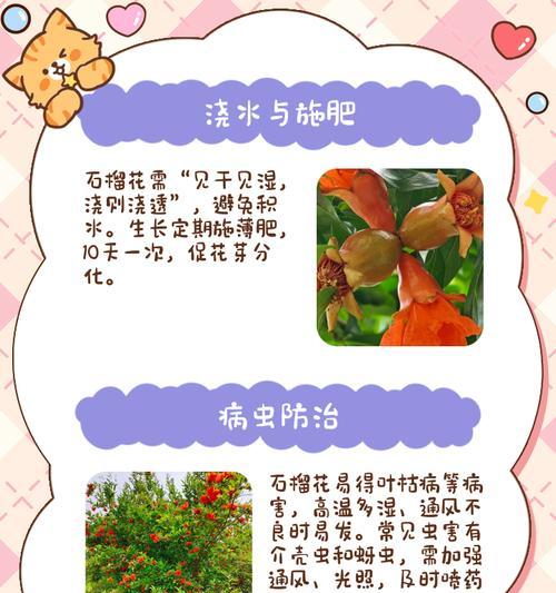 石榴花如何科学浇水？（了解石榴花的喜水程度和浇水要点，让你的石榴花更加茁壮成长！）-第3张图片-绿意生活