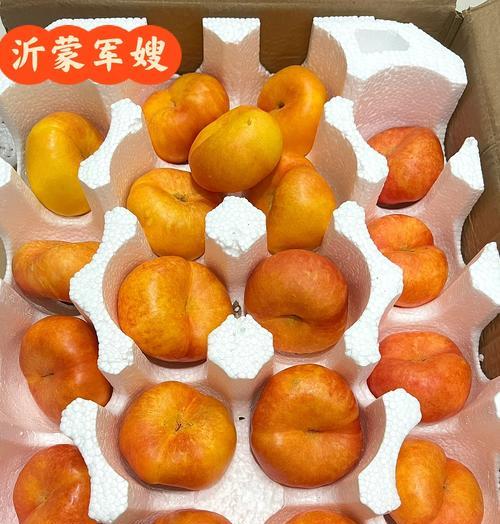 如何保存新鲜的桃子？（桃子可以冷冻保存吗？）-第3张图片-绿意生活