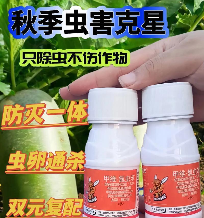 如何有效防治玉米棒上的蚜虫侵害（细节把握，让你玉米长势蓬勃）-第2张图片-绿意生活