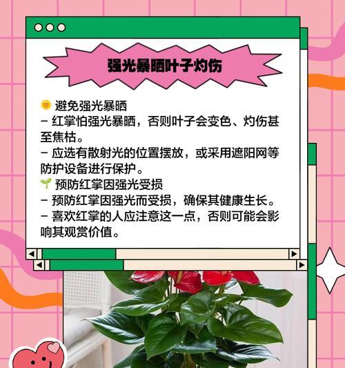 红掌叶子倒了，植物病害的源头在哪里？（揭秘红掌叶子倒下的原因及解决方法）-第3张图片-绿意生活
