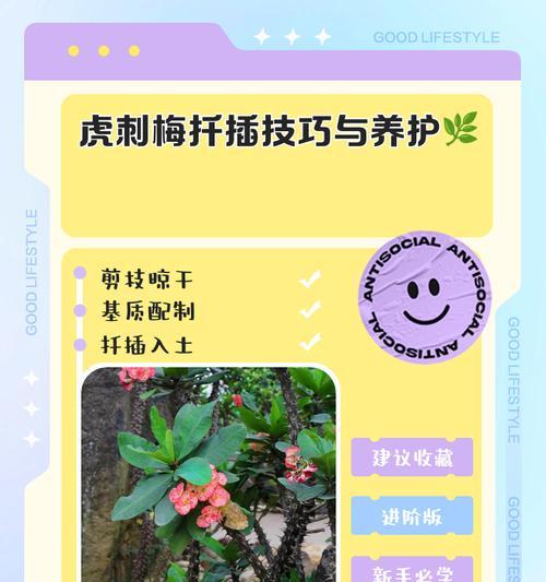 刺梅枝条的缩胀现象解析（探寻刺梅枝条缩胀的原因和解决方法）-第2张图片-绿意生活