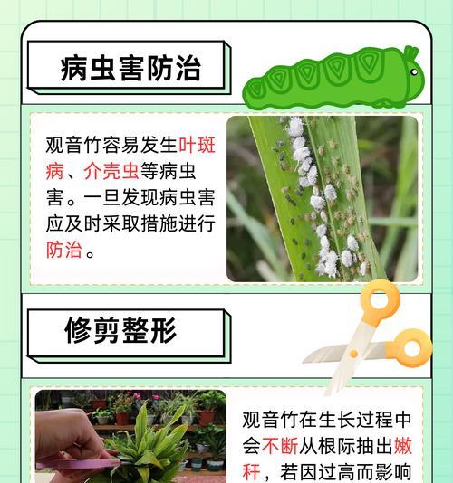 竹类花养护技巧揭秘（打造更旺盛的竹类花园，从这些关键技巧开始！）-第2张图片-绿意生活