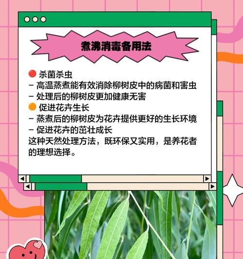柳树有毒？室内养护须知！（柳树养护误区解析，室内放置安全隐患分析）-第2张图片-绿意生活