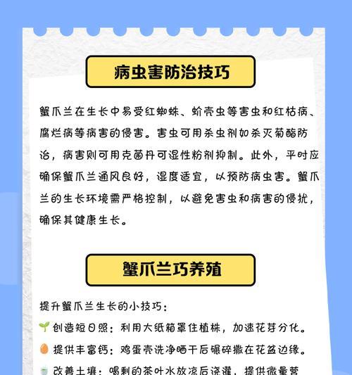 蟹爪兰的养殖技巧及注意事项（打造居家绿色植物——蟹爪兰的养殖秘籍）-第2张图片-绿意生活