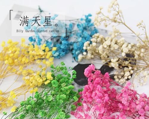 揭秘满天星的身份（探究满天星的特征、分类和用途）-第3张图片-绿意生活