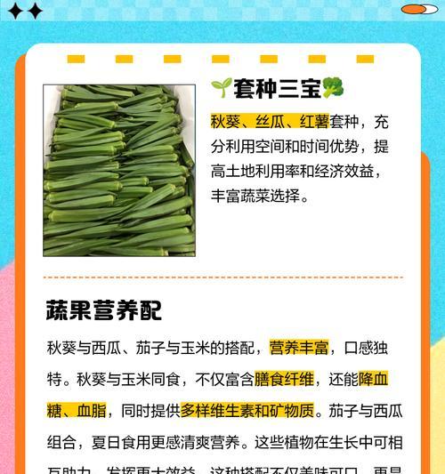 秋葵种植全攻略（几月份种合适？如何选择品种？种植注意事项等）-第2张图片-绿意生活