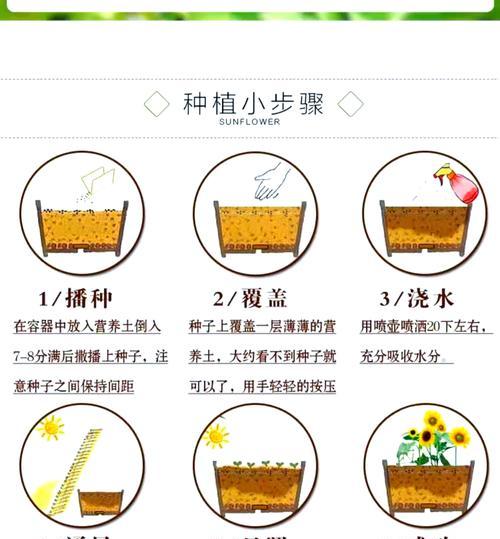 如何正确养护风信子球（掌握关键技巧，让风信子持续开花）-第1张图片-绿意生活