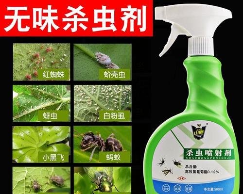 土办法祛除花上的蚜虫（家庭绿植保护的一些经验和技巧）-第2张图片-绿意生活