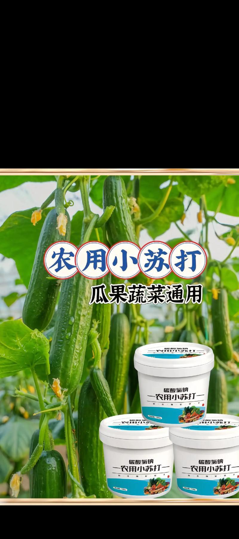 六月份最适合种植的蔬菜是什么？（打造丰收的蔬菜园，这些蔬菜必不可少！）-第2张图片-绿意生活