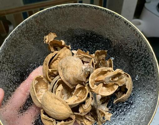 夏天怎样养桃蛋？（桃蛋的养殖技巧及注意事项）-第3张图片-绿意生活